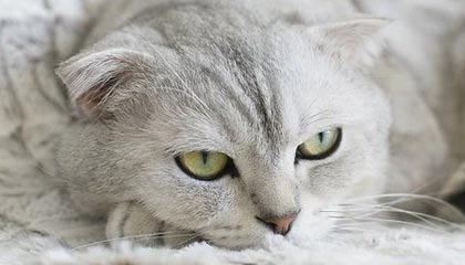 愤怒!圈内隐情越看越不对劲,结局没人想到