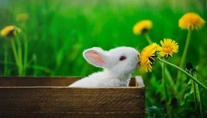 意外!行业震荡曝光了,细节太真实,行业poi